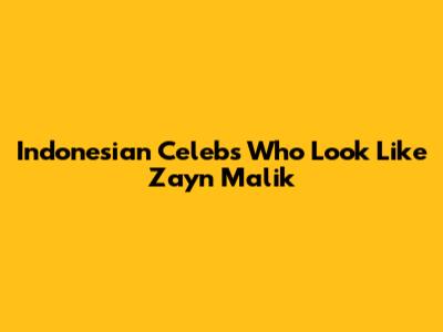 Indonesian Celebs Who Look Like Zayn Malik
