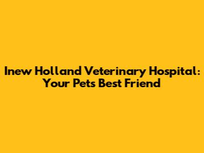 Inew Holland Veterinary Hospital: Your Pet's Best Friend