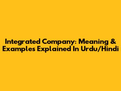 Integrated Company: Meaning & Examples Explained In Urdu/Hindi