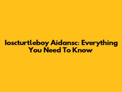 Ioscturtleboy Aidansc: Everything You Need To Know