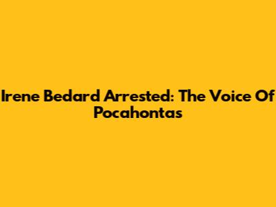 Irene Bedard Arrested: The Voice Of Pocahontas