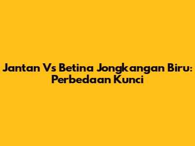 Jantan Vs Betina Jongkangan Biru: Perbedaan Kunci