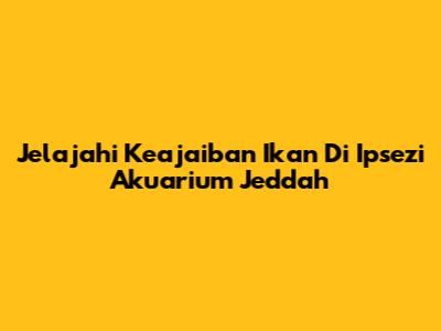 Jelajahi Keajaiban Ikan Di Ipsezi Akuarium Jeddah