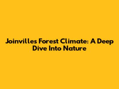 Joinville's Forest Climate: A Deep Dive Into Nature