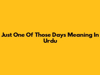 Just One Of Those Days Meaning In Urdu