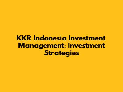 KKR Indonesia Investment Management: Investment Strategies