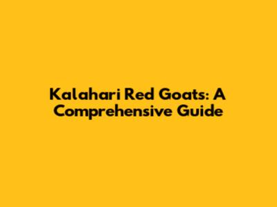 Kalahari Red Goats: A Comprehensive Guide
