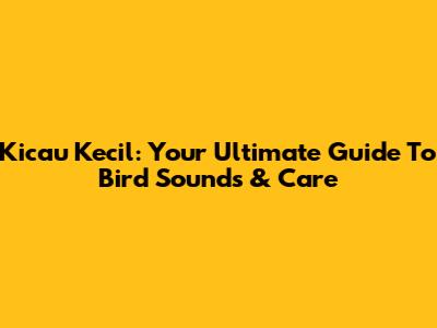 Kicau Kecil: Your Ultimate Guide To Bird Sounds & Care