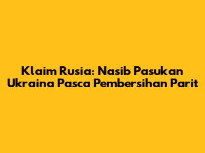 Klaim Rusia: Nasib Pasukan Ukraina Pasca Pembersihan Parit