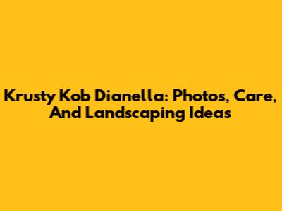Krusty Kob Dianella: Photos, Care, And Landscaping Ideas