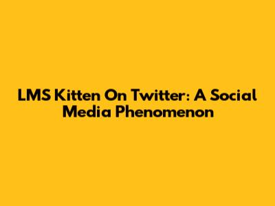 LMS Kitten On Twitter: A Social Media Phenomenon