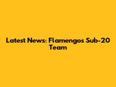 Latest News: Flamengo's Sub-20 Team