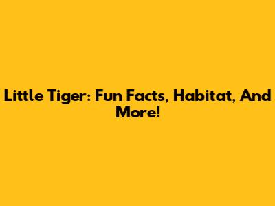 Little Tiger: Fun Facts, Habitat, And More!