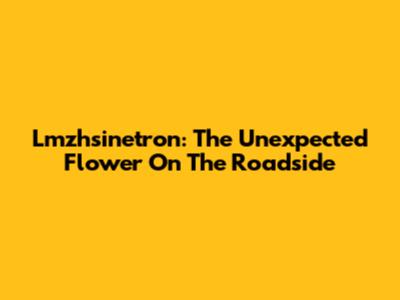 Lmzhsinetron: The Unexpected Flower On The Roadside