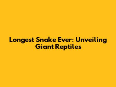 Longest Snake Ever: Unveiling Giant Reptiles