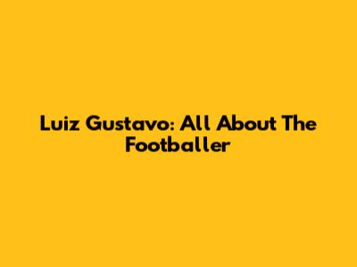 Luiz Gustavo: All About The Footballer