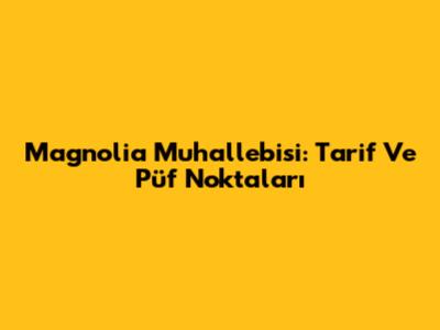 Magnolia Muhallebisi: Tarif Ve Püf Noktaları