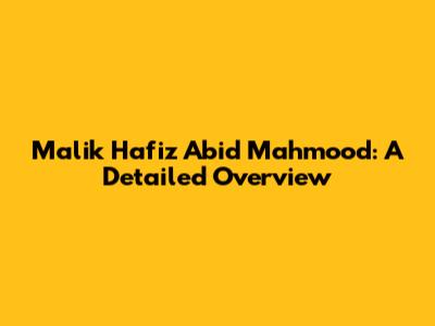 Malik Hafiz Abid Mahmood: A Detailed Overview