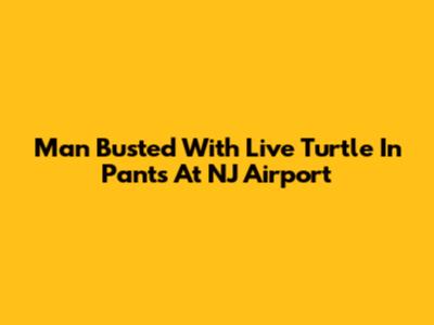 Man Busted With Live Turtle In Pants At NJ Airport