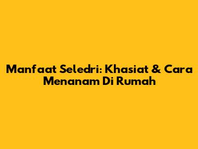 Manfaat Seledri: Khasiat & Cara Menanam Di Rumah