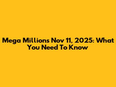 Mega Millions Nov 11, 2025: What You Need To Know