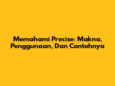 Memahami 'Precise': Makna, Penggunaan, Dan Contohnya