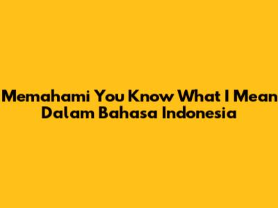 Memahami 'You Know What I Mean' Dalam Bahasa Indonesia