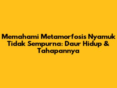 Memahami Metamorfosis Nyamuk Tidak Sempurna: Daur Hidup & Tahapannya