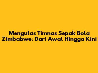 Mengulas Timnas Sepak Bola Zimbabwe: Dari Awal Hingga Kini