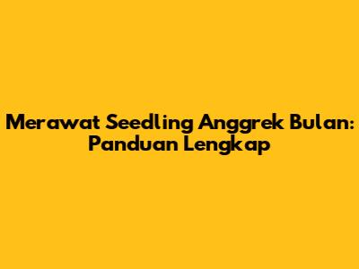 Merawat Seedling Anggrek Bulan: Panduan Lengkap