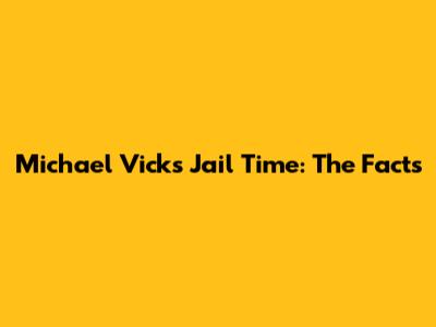 Michael Vick's Jail Time: The Facts