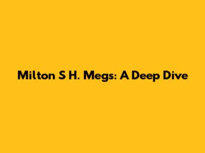 Milton S H. Megs: A Deep Dive