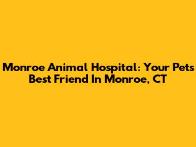 Monroe Animal Hospital: Your Pet's Best Friend In Monroe, CT
