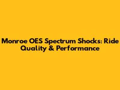 Monroe OES Spectrum Shocks: Ride Quality & Performance
