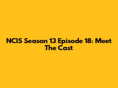 NCIS Season 13 Episode 18: Meet The Cast