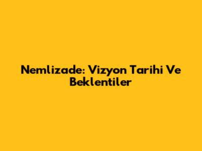 Nemlizade: Vizyon Tarihi Ve Beklentiler