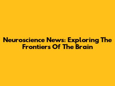 Neuroscience News: Exploring The Frontiers Of The Brain