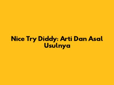 Nice Try Diddy: Arti Dan Asal Usulnya