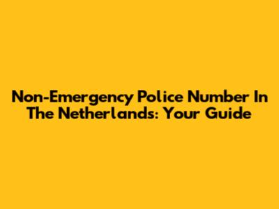 Non-Emergency Police Number In The Netherlands: Your Guide