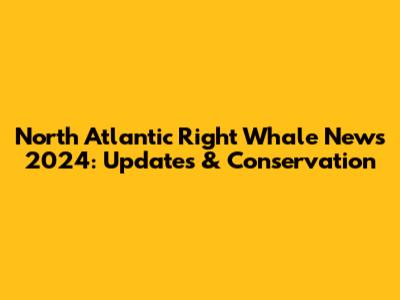 North Atlantic Right Whale News 2024: Updates & Conservation