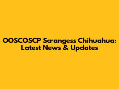 OOSCOSCP Scrangess Chihuahua: Latest News & Updates
