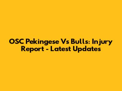 OSC Pekingese Vs Bulls: Injury Report - Latest Updates