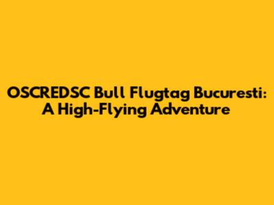 OSCREDSC Bull Flugtag Bucuresti: A High-Flying Adventure
