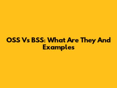 OSS Vs BSS: What Are They And Examples
