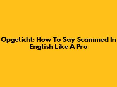 Opgelicht: How To Say 'Scammed' In English Like A Pro