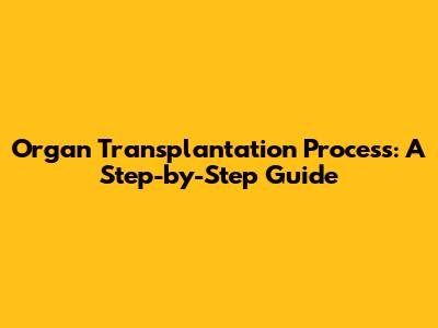 Organ Transplantation Process: A Step-by-Step Guide