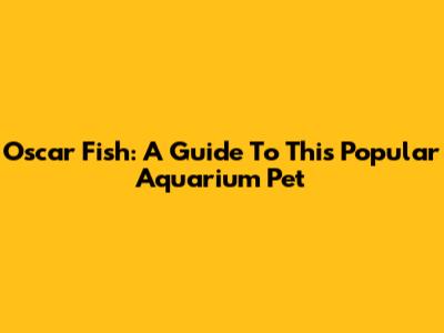 Oscar Fish: A Guide To This Popular Aquarium Pet