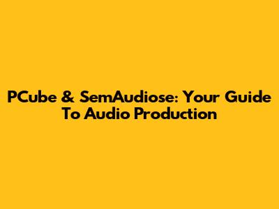 PCube & SemAudiose: Your Guide To Audio Production