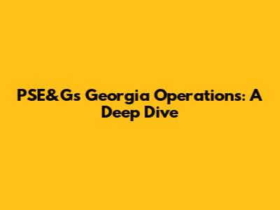 PSE&G's Georgia Operations: A Deep Dive