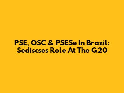 PSE, OSC & PSESe In Brazil: Sediscse's Role At The G20